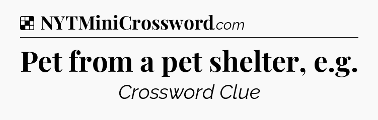 Solution: Pet from a pet shelter, e.g - NYT Crossword