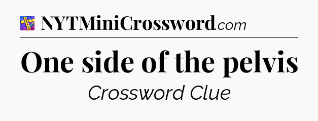 One side of the pelvis Codycross