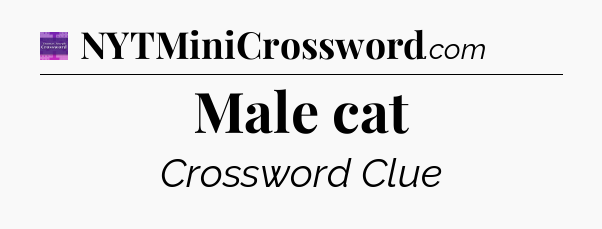 Male cat - Thomas Joseph Crossword