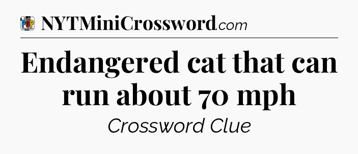 Endangered cat that can run about 70 mph Crossword Clue