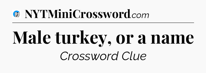 Male turkey, or a name Crossword Clue