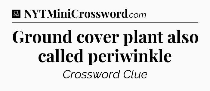 Ground cover plant also called periwinkle - LA Times Crossword