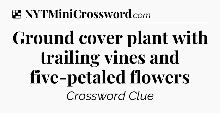 Solution: Ground cover plant with trailing vines and five-petaled flowers - NYT Crossword