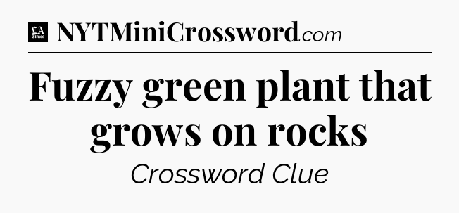 Fuzzy green plant that grows on rocks - LA Times Crossword