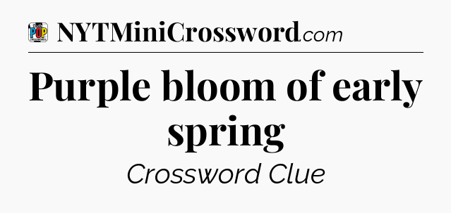 Purple bloom of early spring Crossword Clue