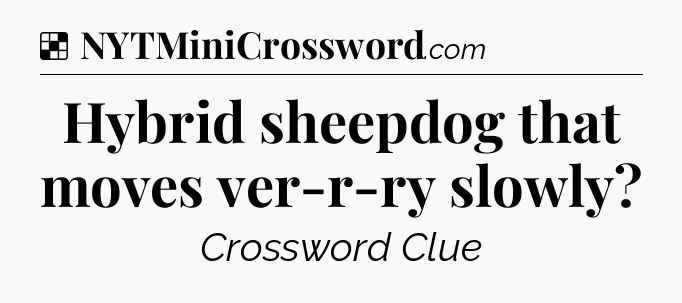 Solution: Hybrid sheepdog that moves ver-r-ry slowly - NYT Crossword