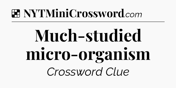 Solution: Much-studied micro-organism - NYT Crossword
