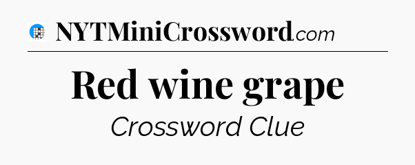 Red wine grape Crossword Clue