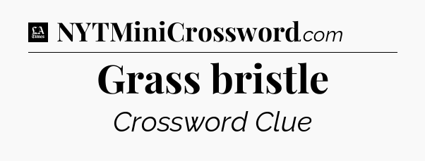 Grass bristle - LA Times Crossword
