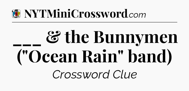 ___ & the Bunnymen (