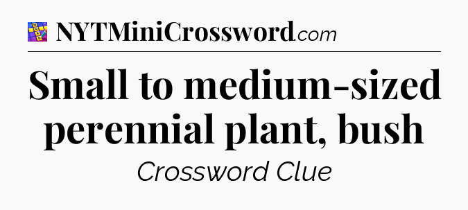 Small to medium-sized perennial plant, bush Codycross