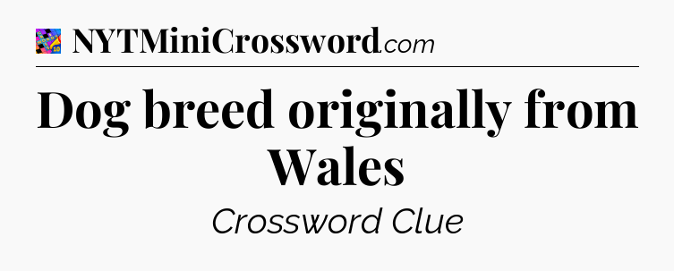 Dog breed originally from Wales Crossword Clue