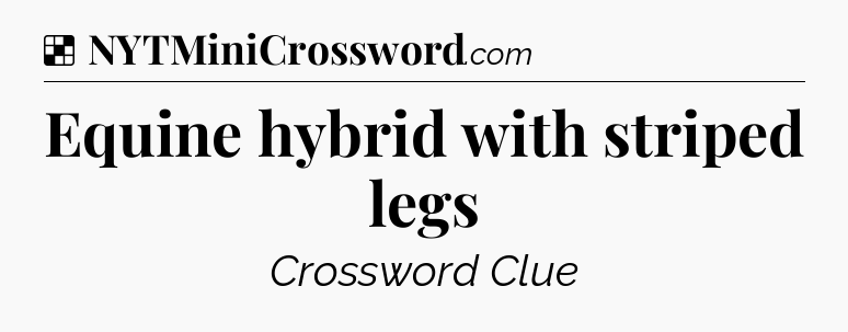 Solution: Equine hybrid with striped legs - NYT Crossword