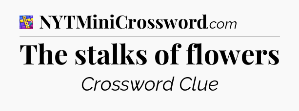 The stalks of flowers Codycross