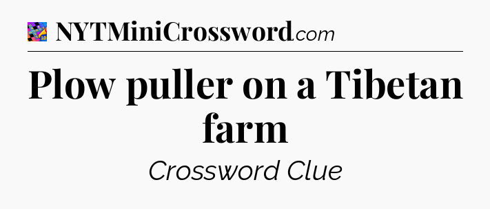Plow puller on a Tibetan farm Crossword Clue