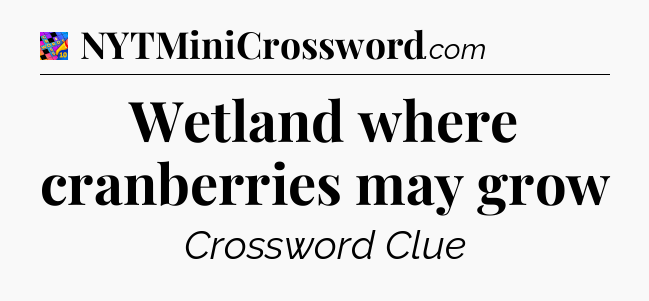 Wetland where cranberries may grow Crossword Clue