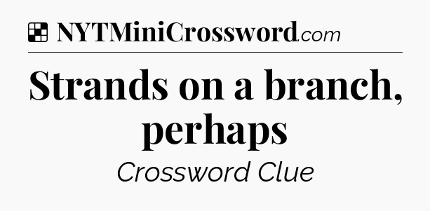 Solution: Strands on a branch, perhaps - NYT Crossword