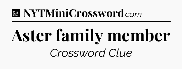 Aster family member - LA Times Crossword