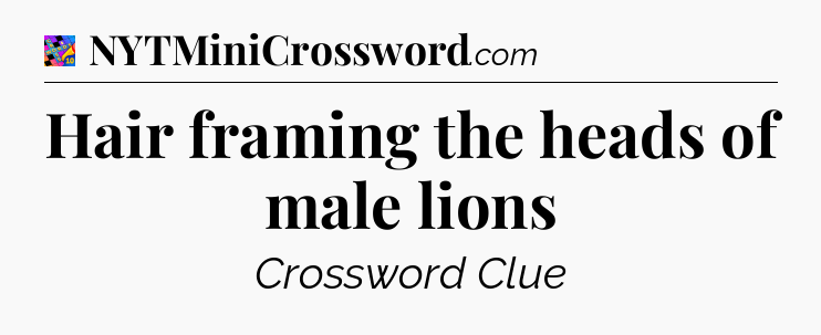Hair framing the heads of male lions Crossword Clue