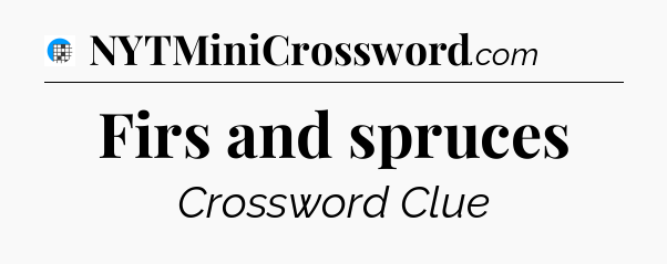 Firs and spruces Crossword Clue