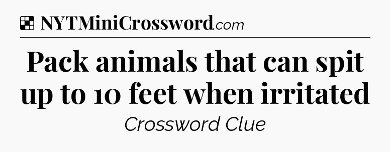 Solution: Pack animals that can spit up to 10 feet when irritated - NYT Crossword