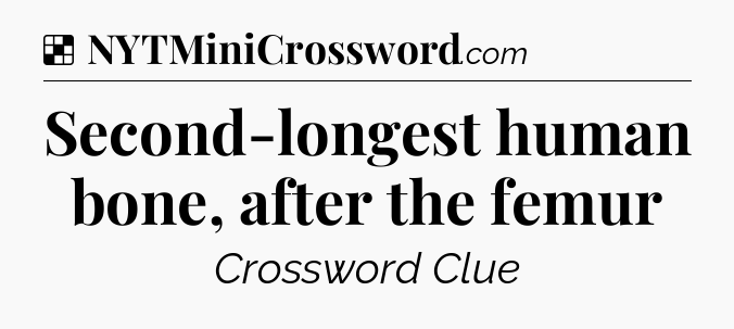 Solution: Second-longest human bone, after the femur - NYT Crossword