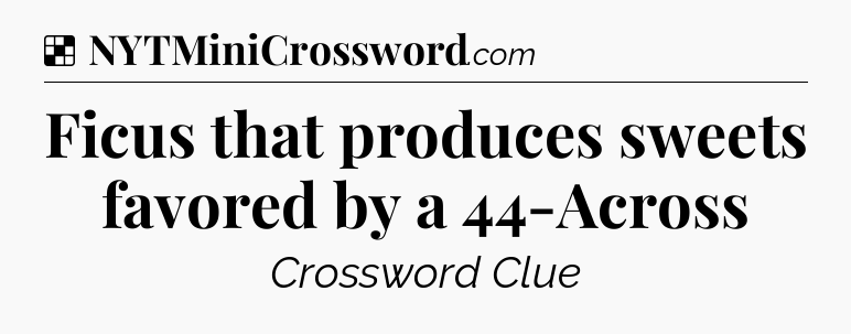Solution: Ficus that produces sweets favored by a 44-Across - NYT Crossword