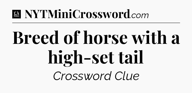 Breed of horse with a high-set tail - LA Times Crossword