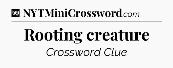 Rooting creature Crossword Clue