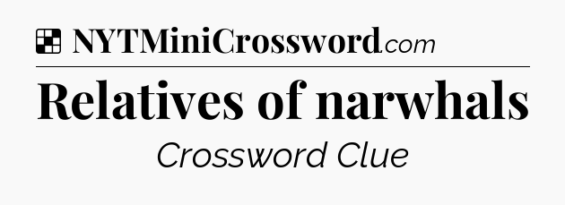 Solution: Relatives of narwhals - NYT Crossword