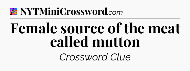 Female source of the meat called mutton Crossword Clue