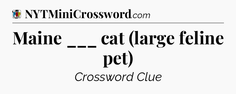 Maine ___ cat (large feline pet) Crossword Clue