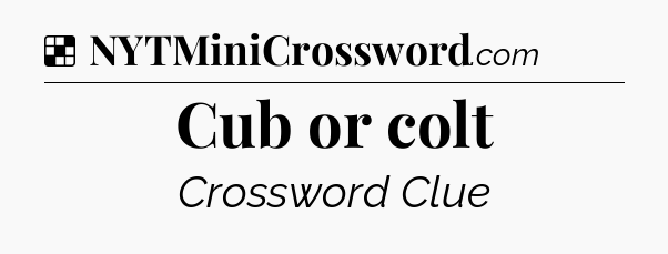 Solution: Cub or colt - NYT Crossword