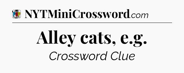 Alley cats, e.g Crossword Clue