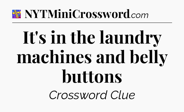 It's in the laundry machines and belly buttons Codycross