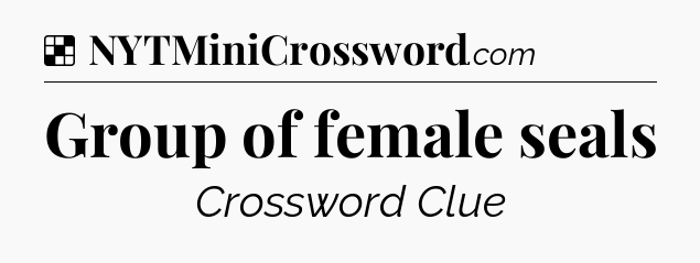 Solution: Group of female seals - NYT Crossword