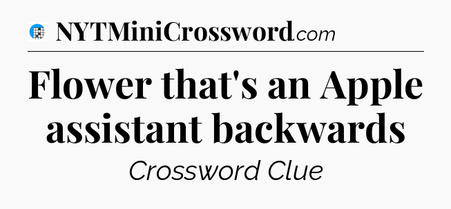 Flower that's an Apple assistant backwards Crossword Clue