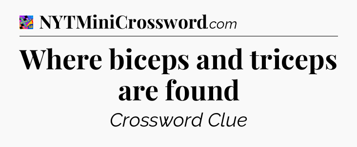 Where biceps and triceps are found Crossword Clue