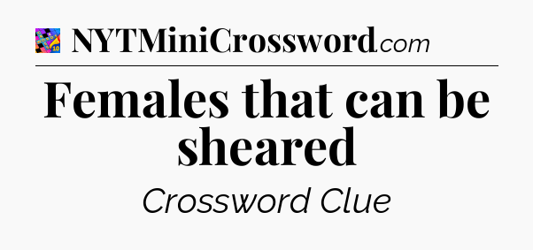 Females that can be sheared Crossword Clue