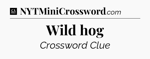 Wild hog - LA Times Crossword