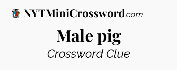 Male pig Crossword Clue