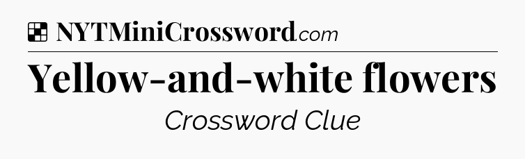 Solution: Yellow-and-white flowers - NYT Crossword