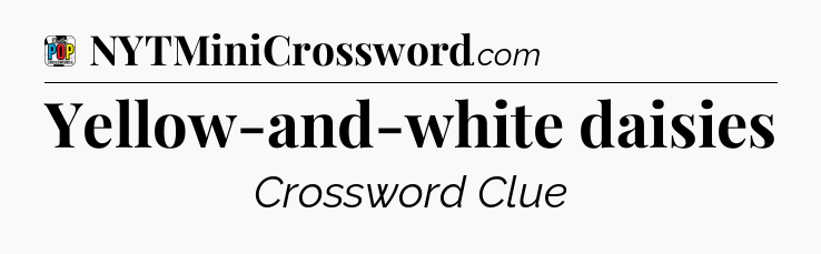 Yellow-and-white daisies Crossword Clue