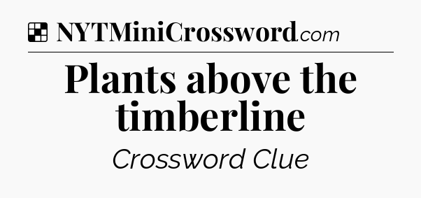 Solution: Plants above the timberline - NYT Crossword