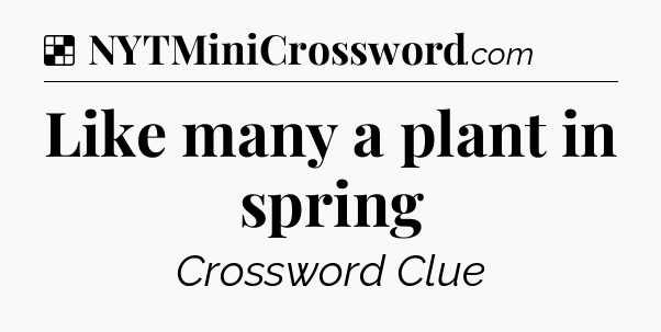 Solution: Like many a plant in spring - NYT Crossword