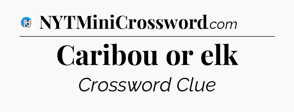 Caribou or elk Crossword Clue