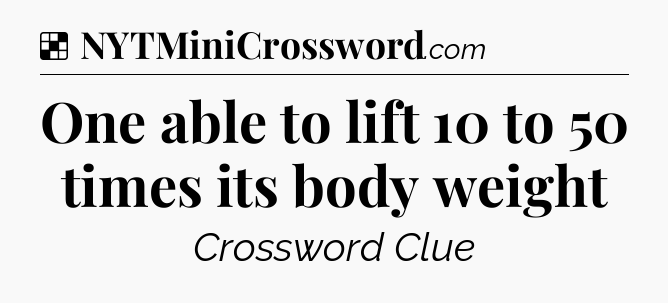 Solution: One able to lift 10 to 50 times its body weight - NYT Crossword