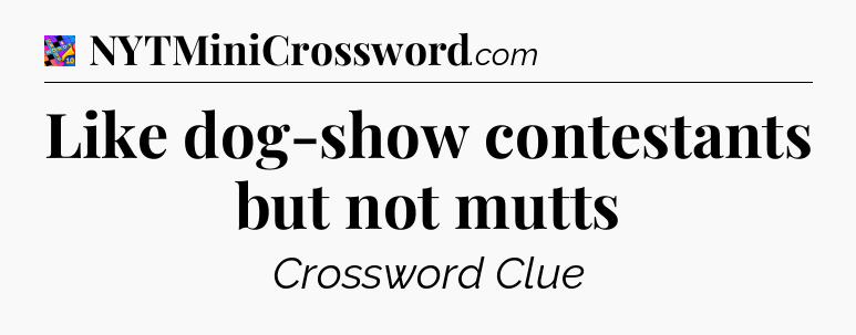 Like dog-show contestants but not mutts Crossword Clue