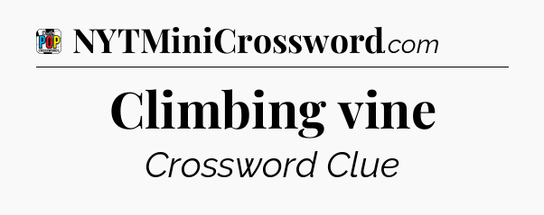 Climbing vine Crossword Clue