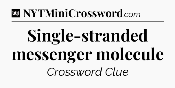 Single-stranded messenger molecule Crossword Clue